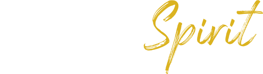 TeamSpirit